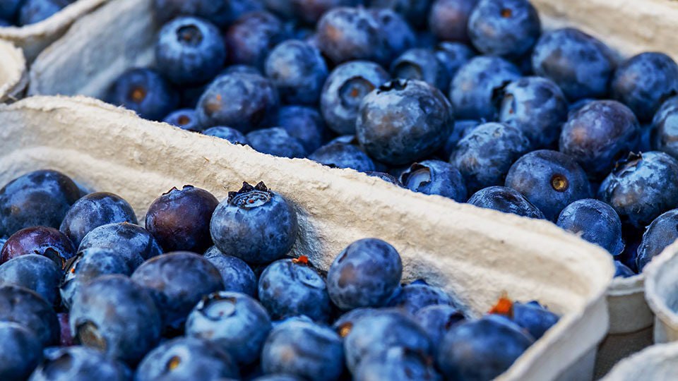 Borówka uratuje Twój wzrok